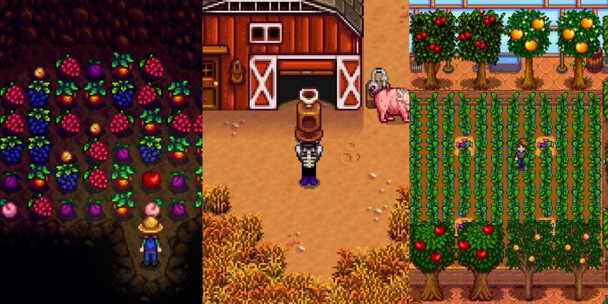 stardew valley automation hacks including the fruit cave, auto-grabber, and fruit trees