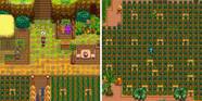 How To Use The Ginger Island Farm In Stardew Valley