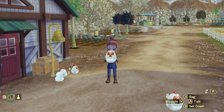 story-of-seasons-a-wonderful-life-chickens-by-the-coop.jpg (740×370)