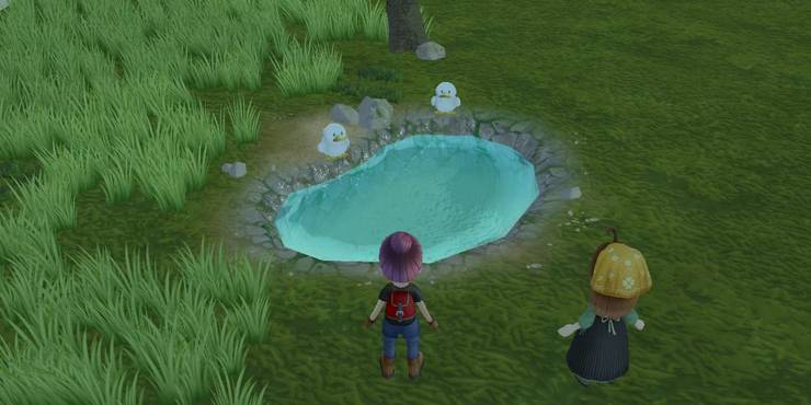 story-of-seasons-a-wonderful-life-ducks-at-the-pond.jpg (740×370)