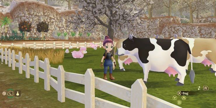 story-of-seasons-a-wonderful-life-normal-cow-in-the-field-with-other-cowds.jpg (740×370)