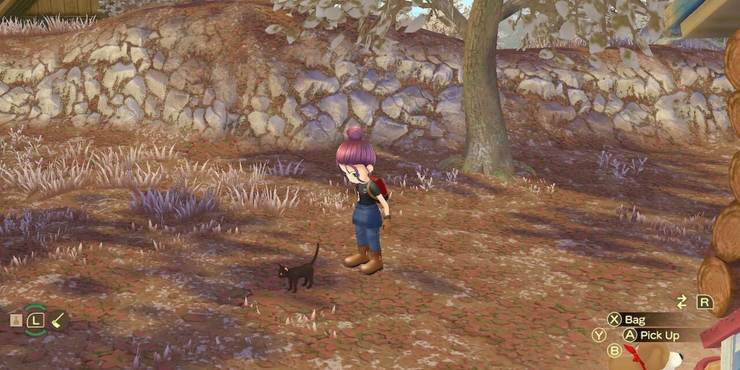 story-of-seasons-a-wonderful-life-your-cat-outside.jpg (740×370)