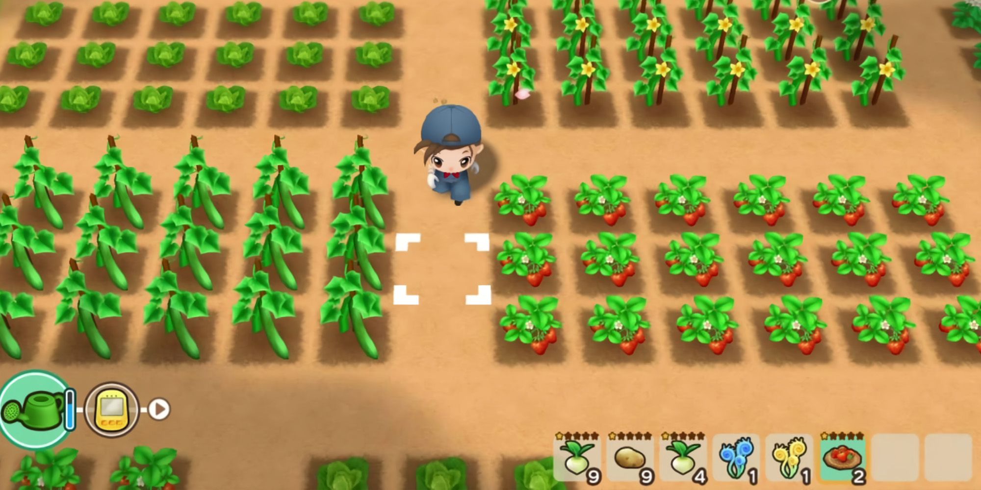 Tending To Crops in Harvest Moon Friends of Mineral Town Remake