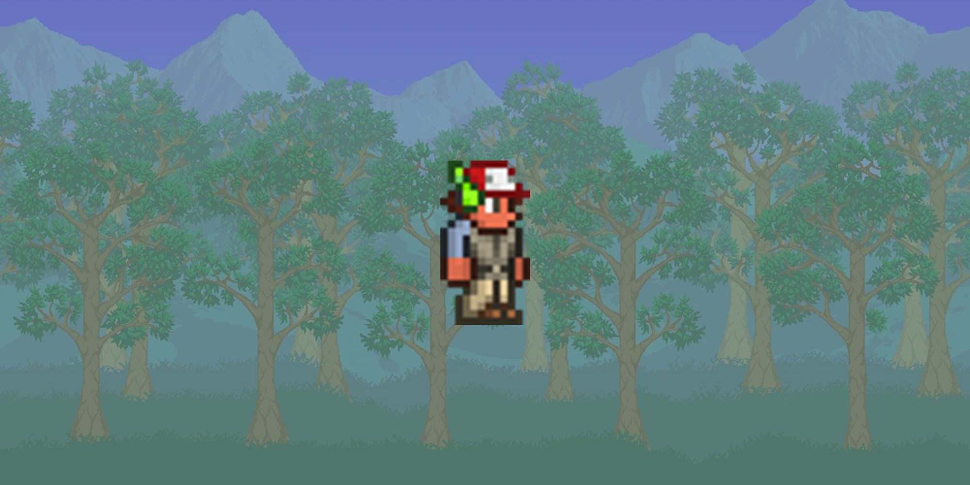 The Best Hidden Secrets And Easter Eggs In Terraria