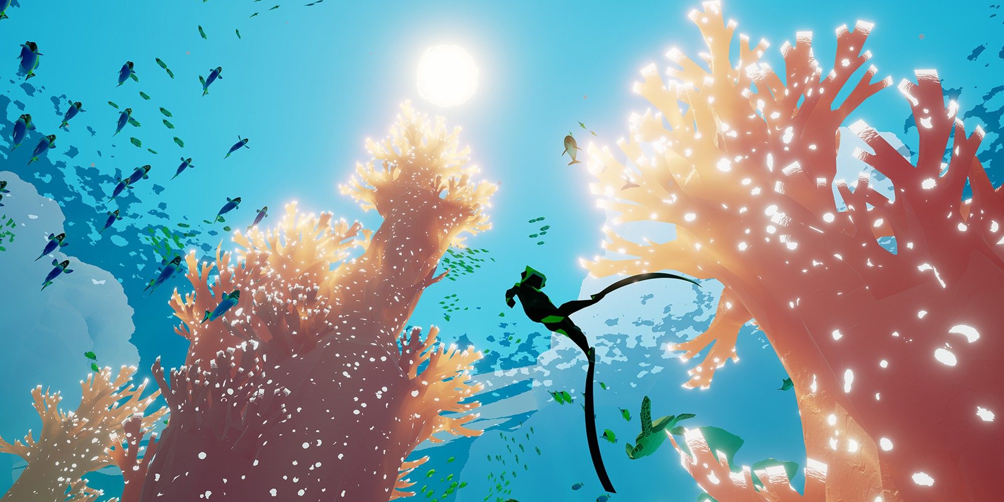 Diver swimming amongst fish and coral reefs underneath the sun. 