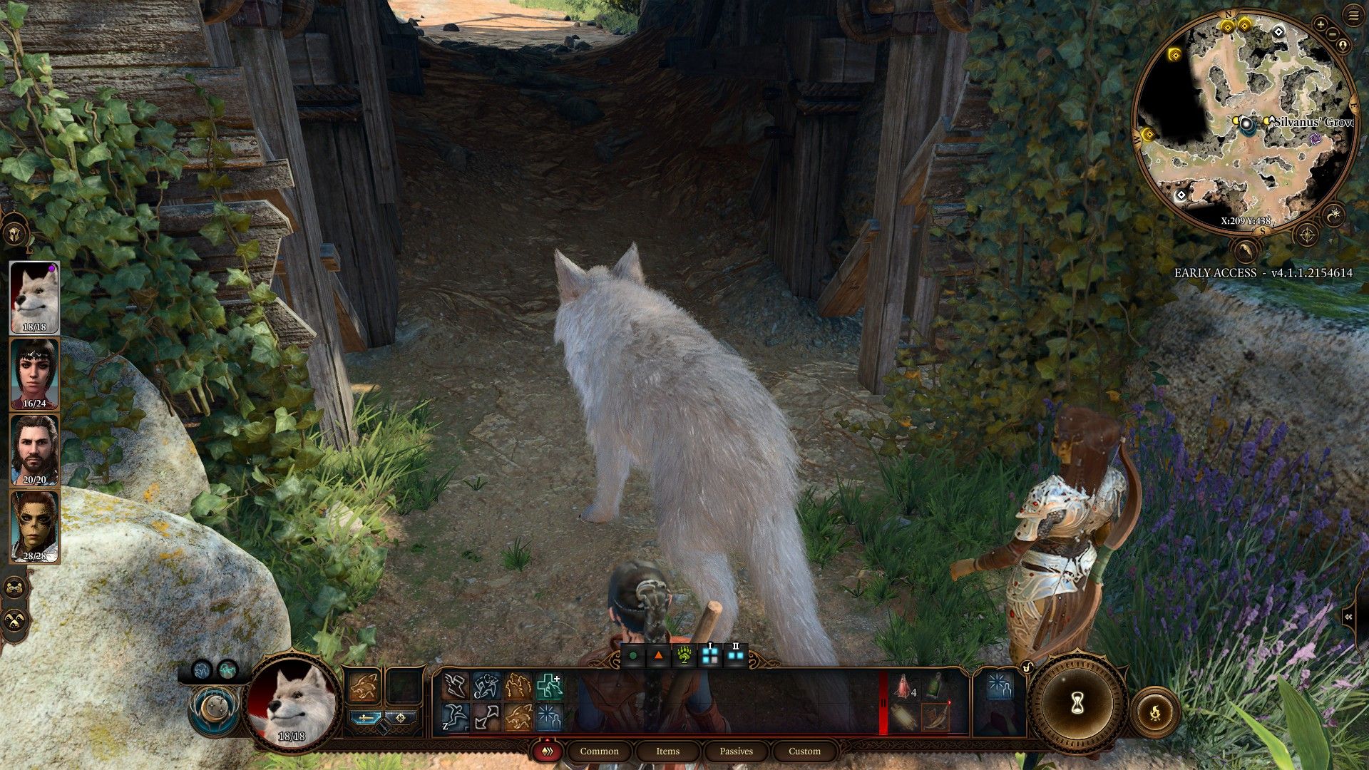 Druid Wild Shaped As Wolf Walks Through Gate Into Druid's Grove