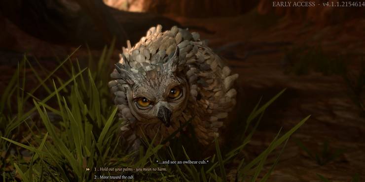 Baldur's Gate 3 Owlbear Cub Dialogue