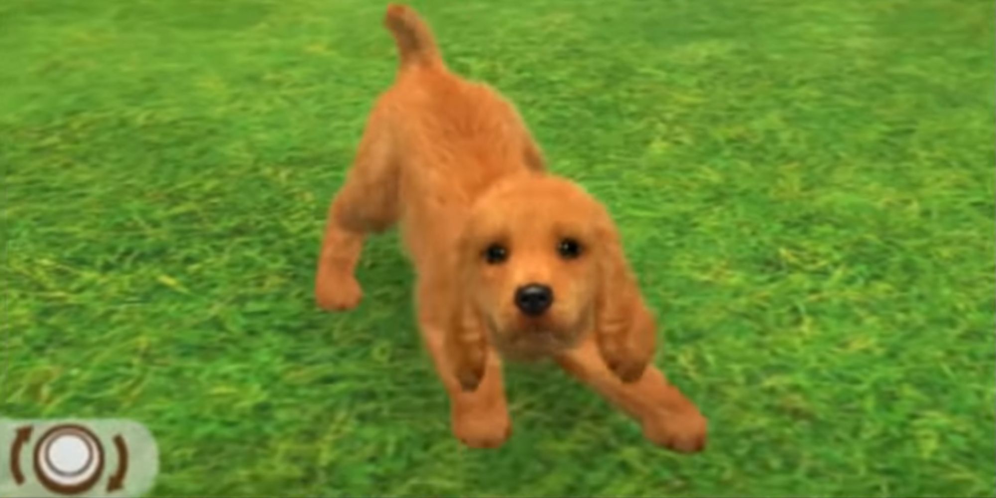 Dog in a pounce position on the grass in Nintendogs + Cats