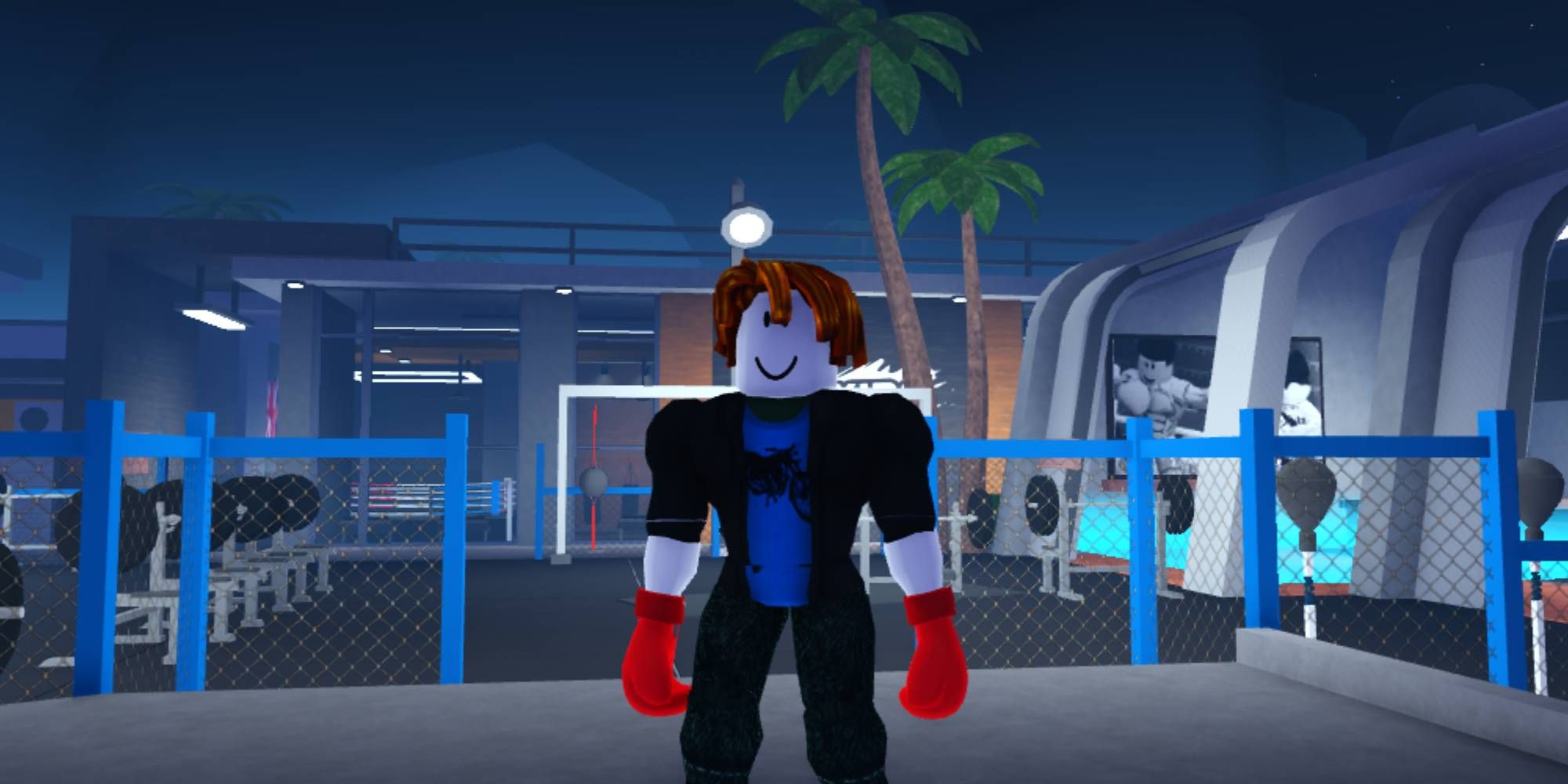 Boxing Beta Codes (December 2023) - Roblox