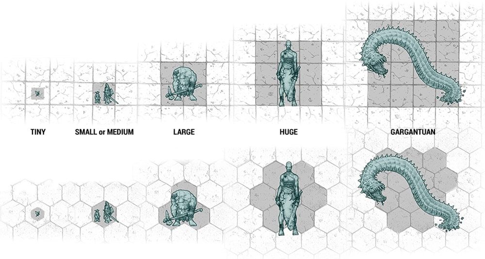    Dungeons And Dragons Creature Size Examples 