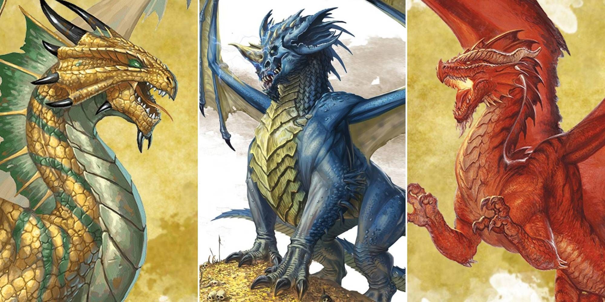 A collage of images featuring a brass dragon, blue dragon and red dragon from Dungeons & Dragons.