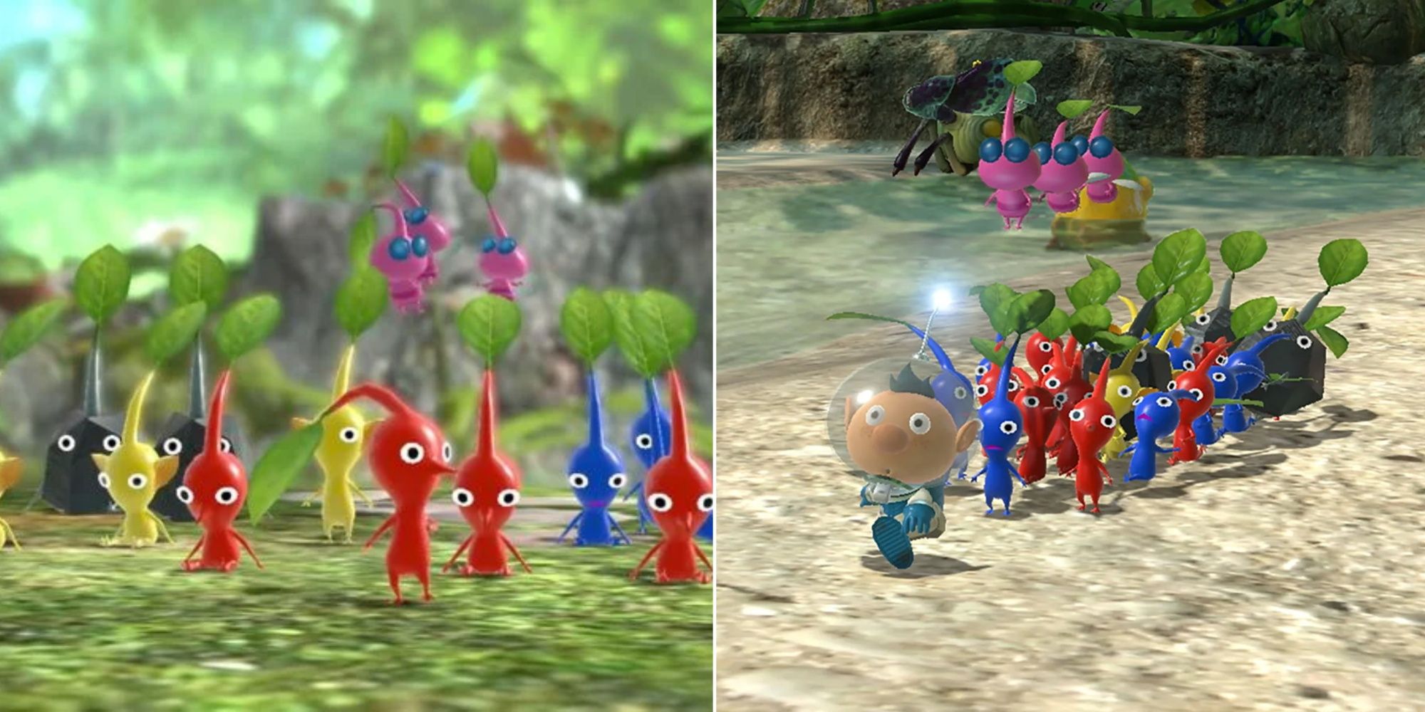  Promo Image From Pikmin 3 Deluxe, And Gameplay Image From Pikmin 4