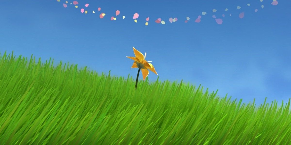 A flower in a field