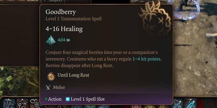 in game description of Goodberry in Baldur's Gate 3