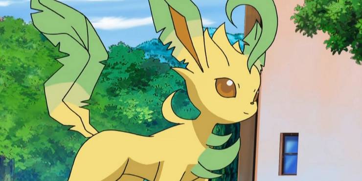 leafeon-from-the-pokemon-anime-eeveelutions-eevee-evolutions.jpg (740×370)