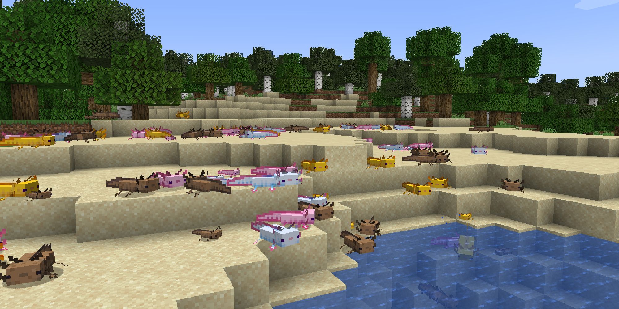 minecraft beach filled with axolotl