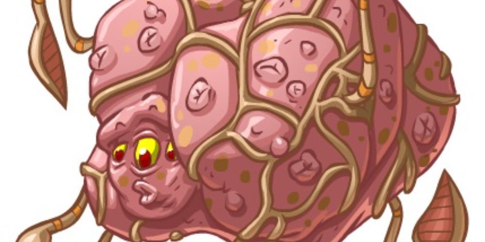 Best Battledome Opponents To Challenge In Neopets