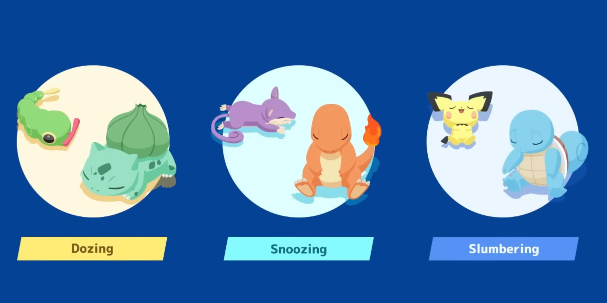 The three sleep-types
