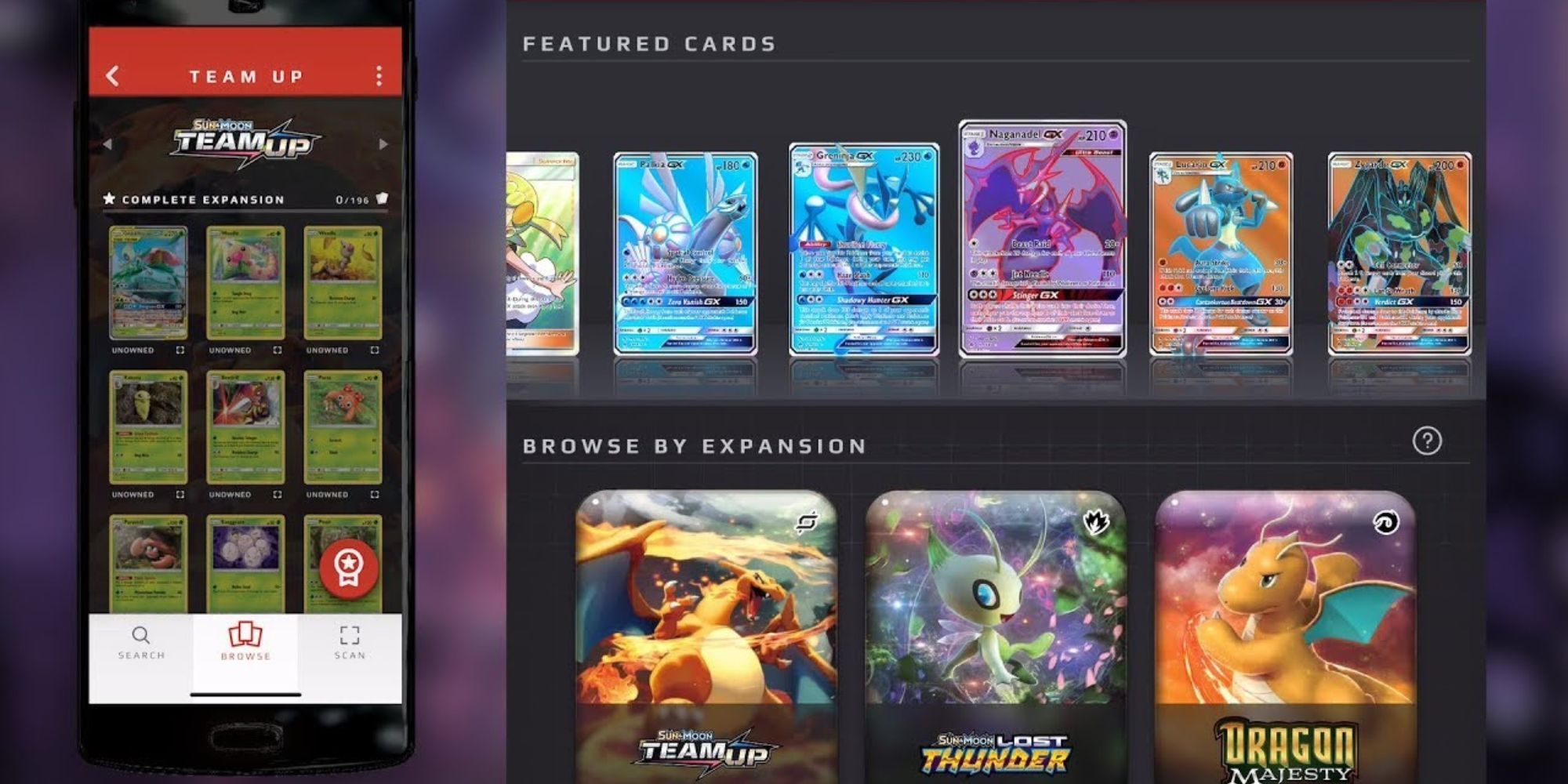 The main layout of the Pokemon TCG Card Dex