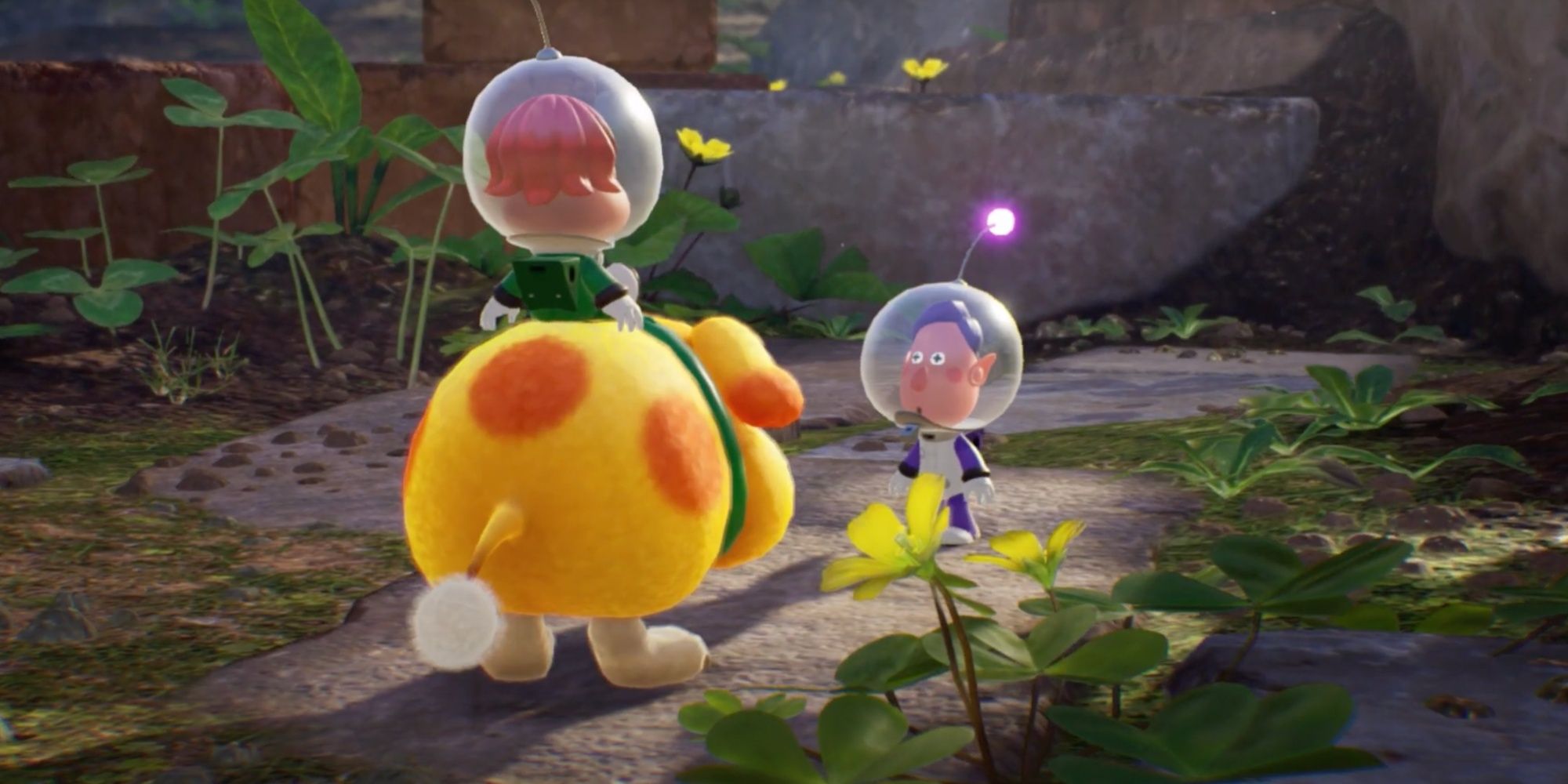 The 10 Best NPC Castaways In Pikmin 4