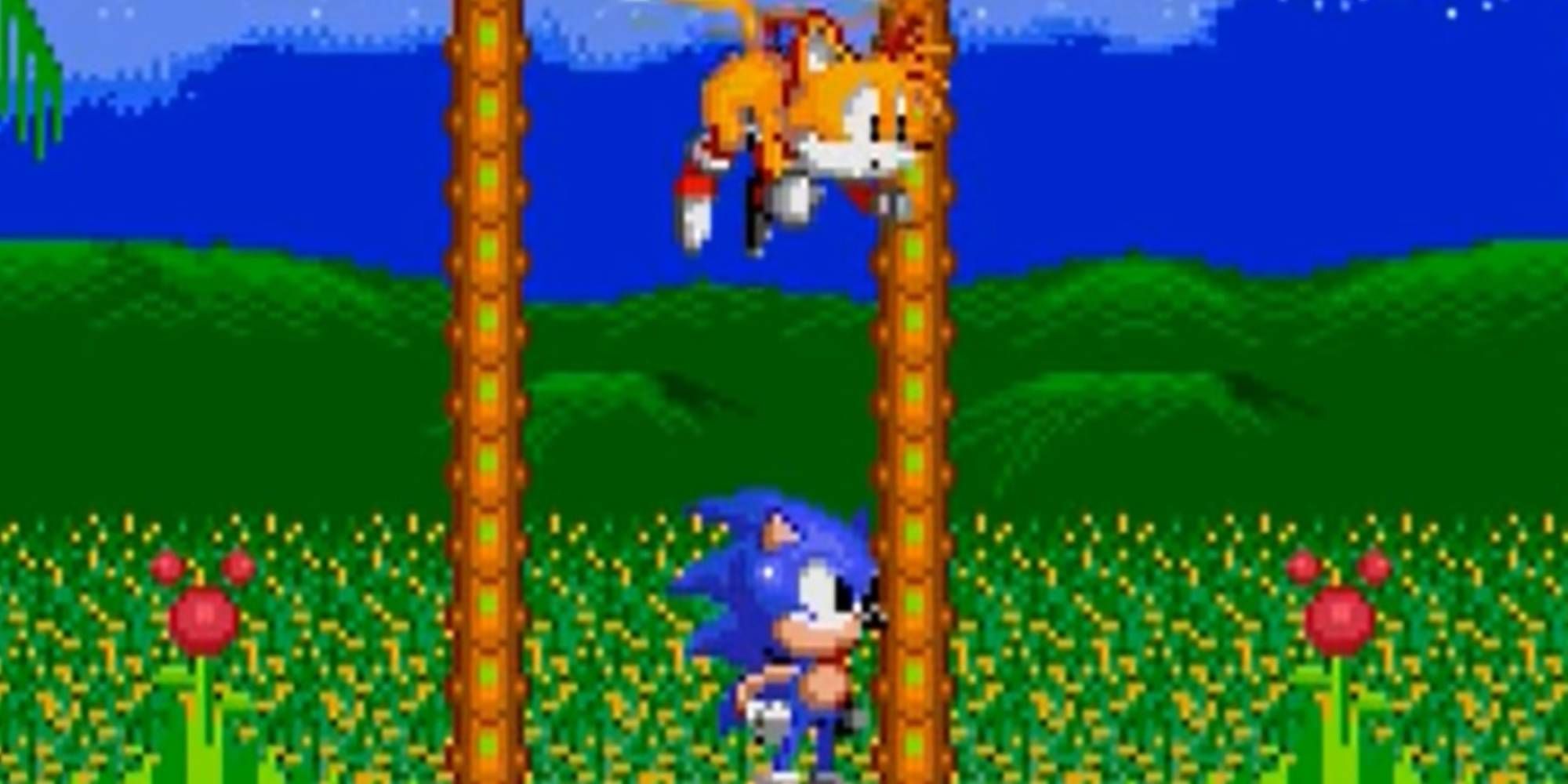 Sonic ایستاده و Tails معلق در حالی که به سمت راست خیره شده است در Sonic 2.