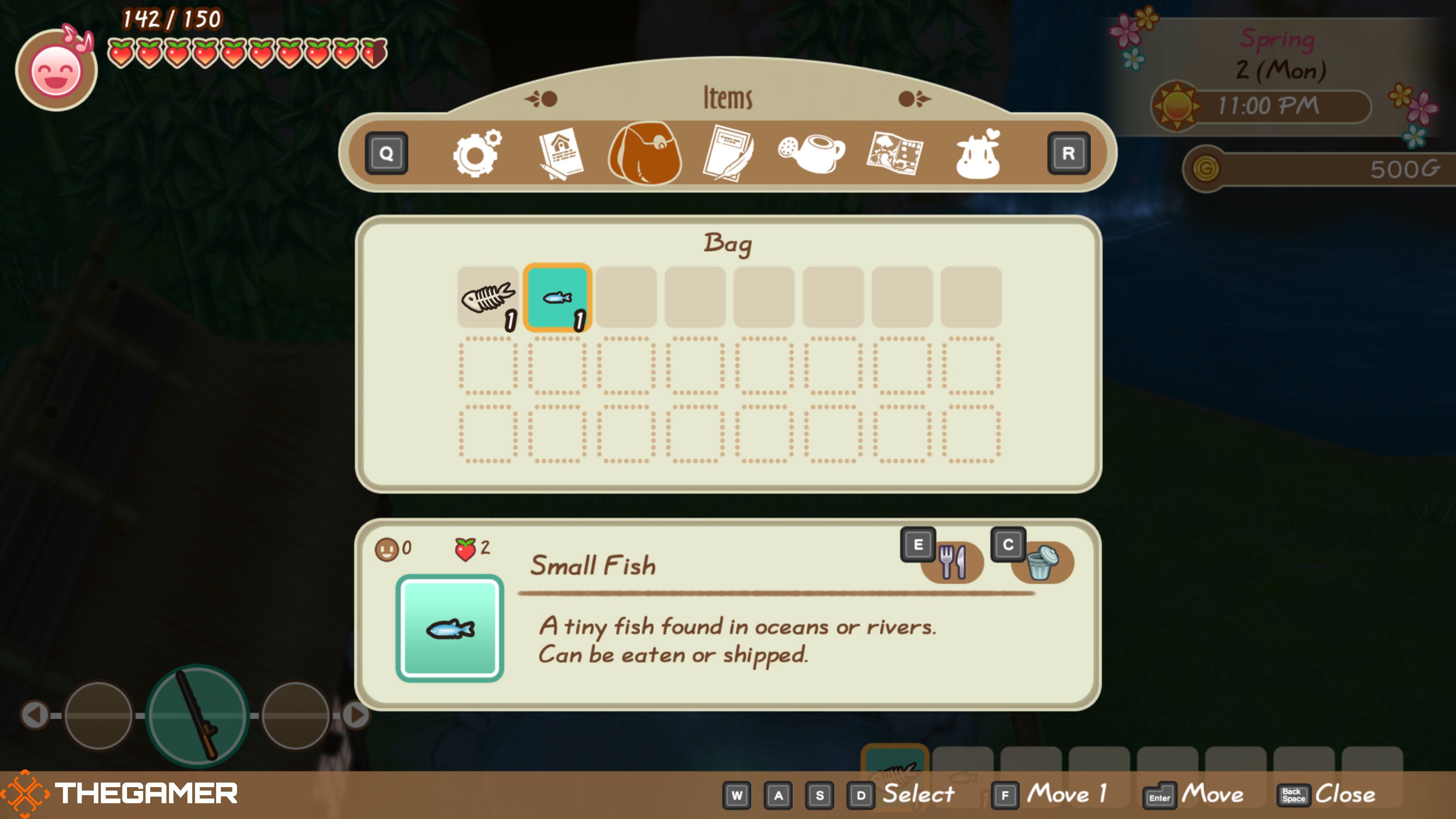 Small fish in player's inventory in Story of Seasons: Friends of Mineral Town