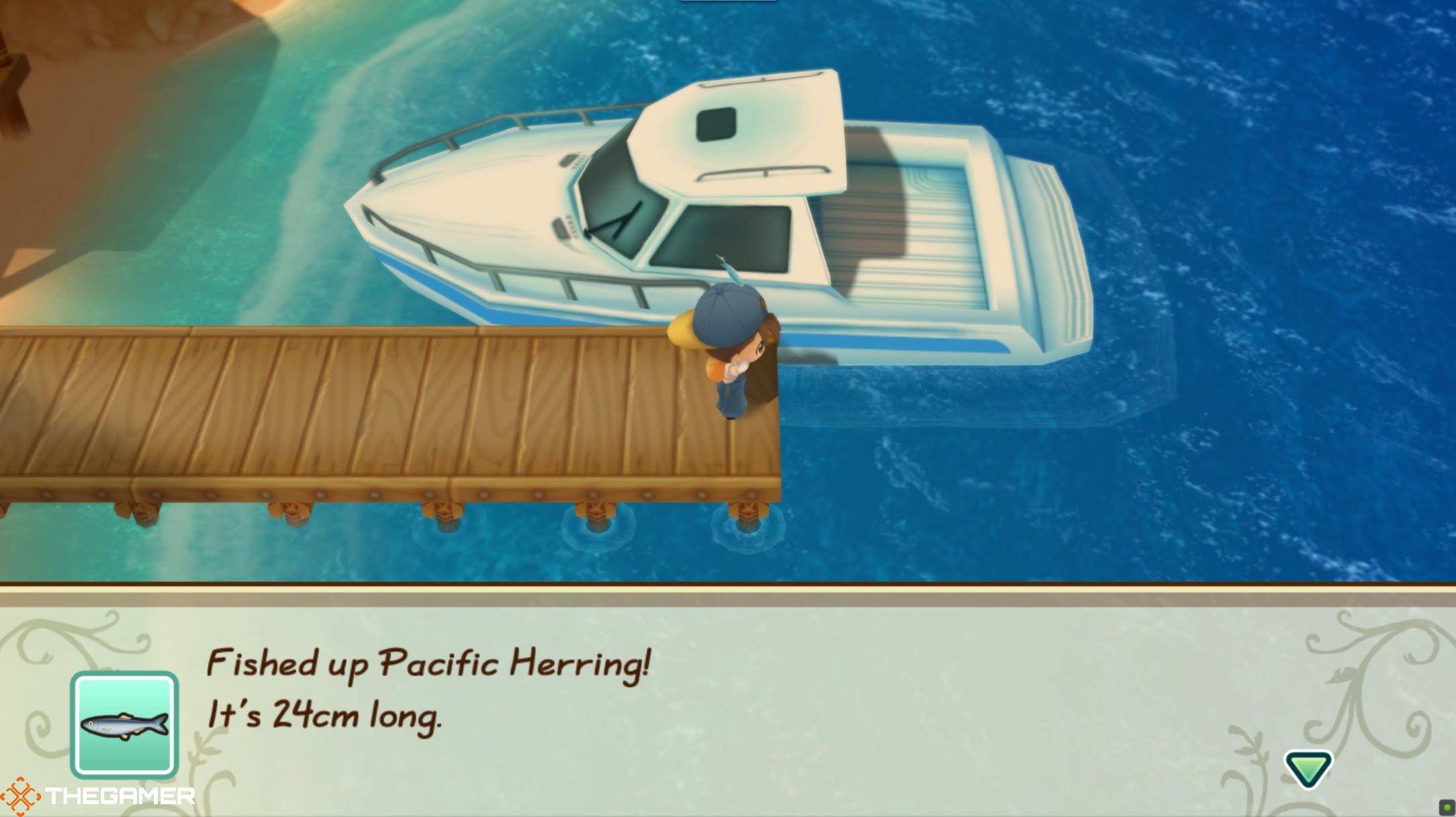 Player catching Pacific Herring in Story of Seasons: Friends of Mineral Town