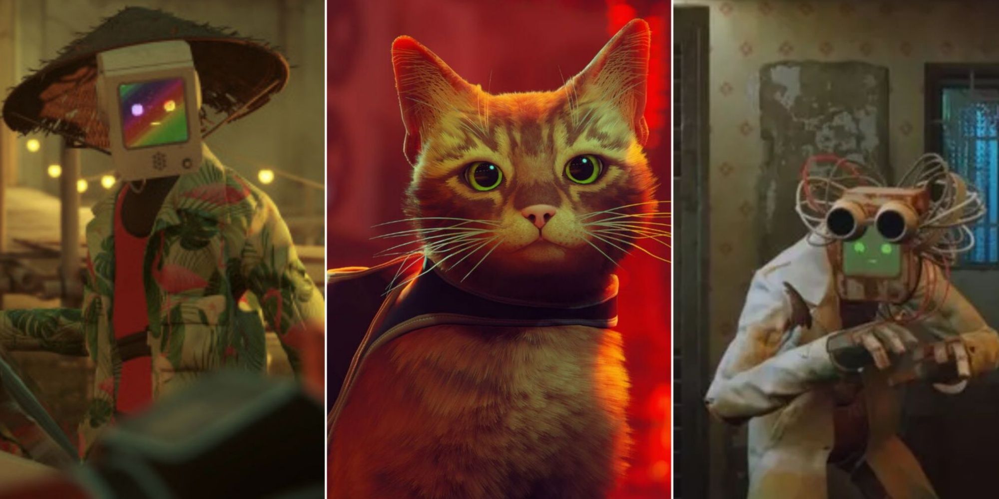 Split images of Momo, the cat, and Doc in Stray
