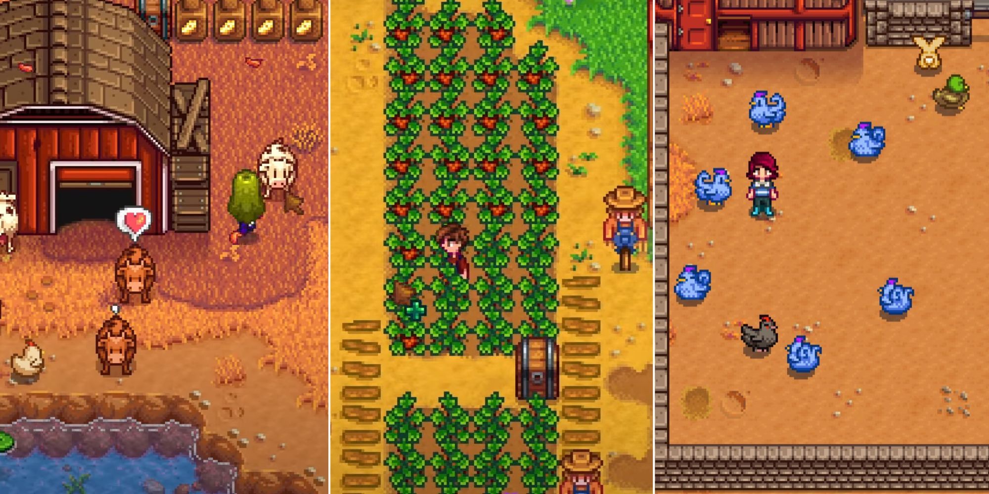 Stardew Valley player milking cows, picking strawberries, and petting blue chickens