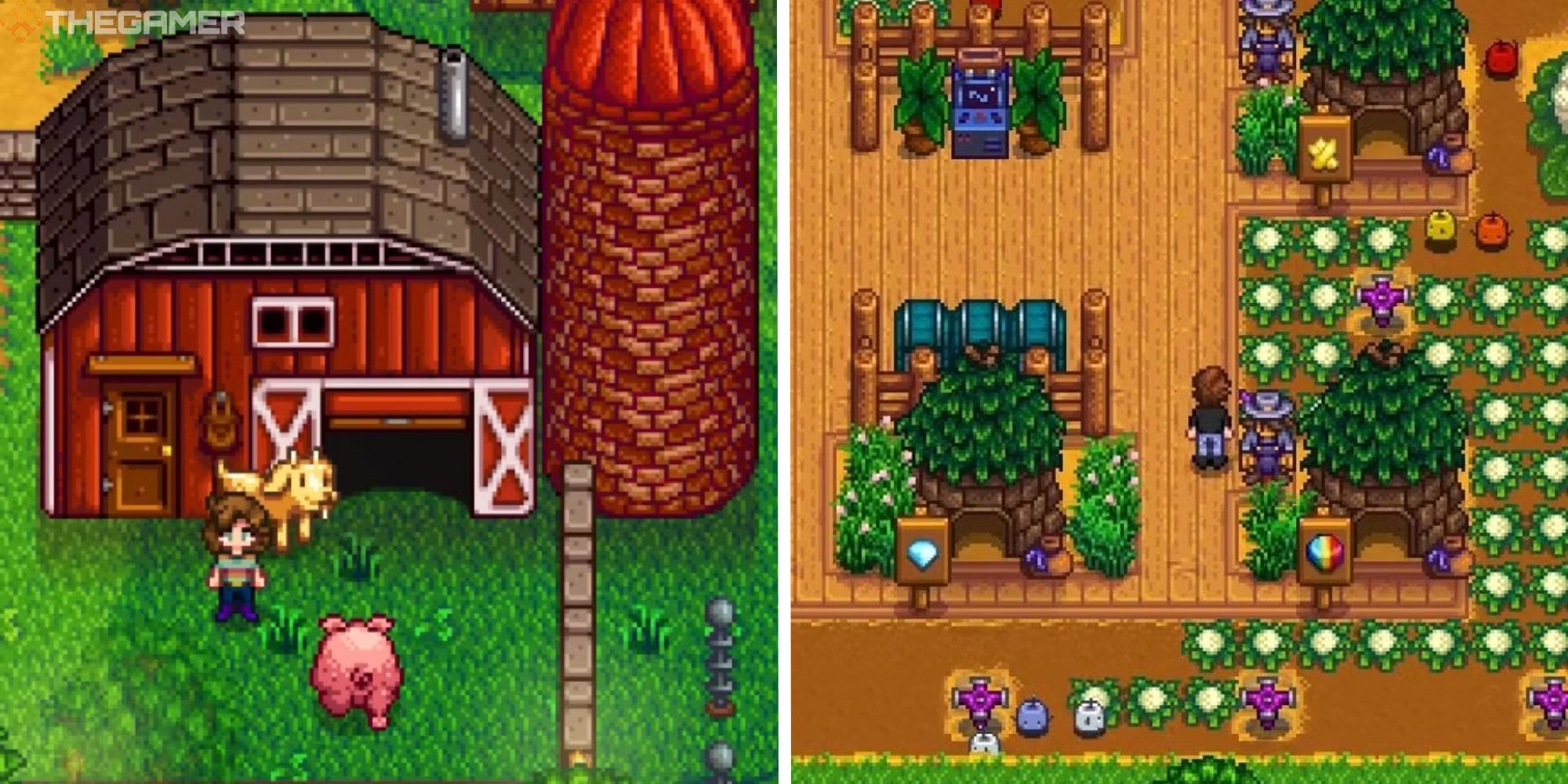 split image showing player outside of barn next to image of farm with junimo huts