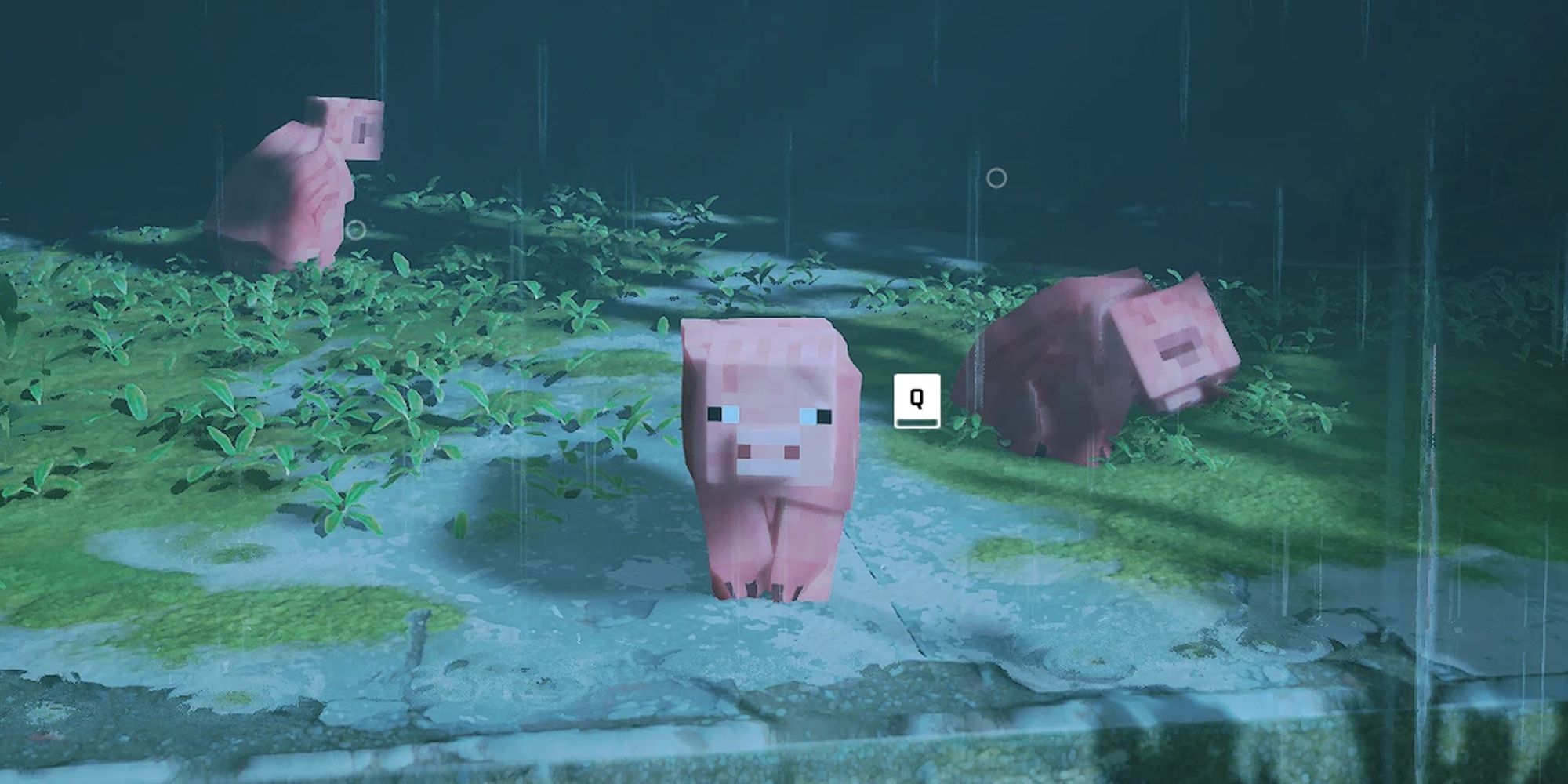 Stray Minecraft Pig Mod Pigs In the Rain