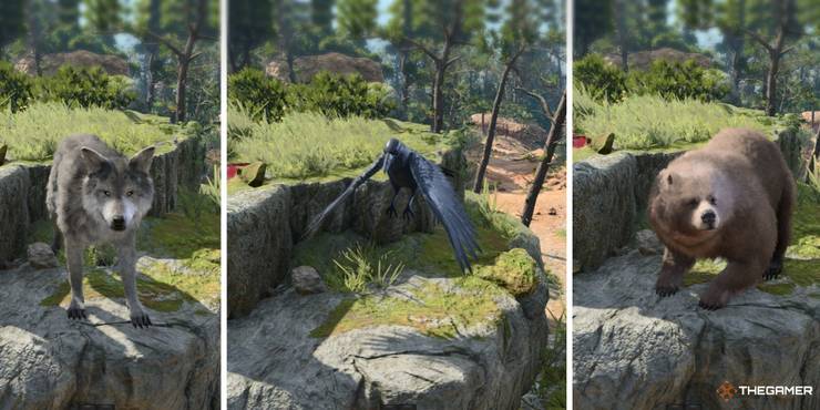 test-1.jpg (740×370)