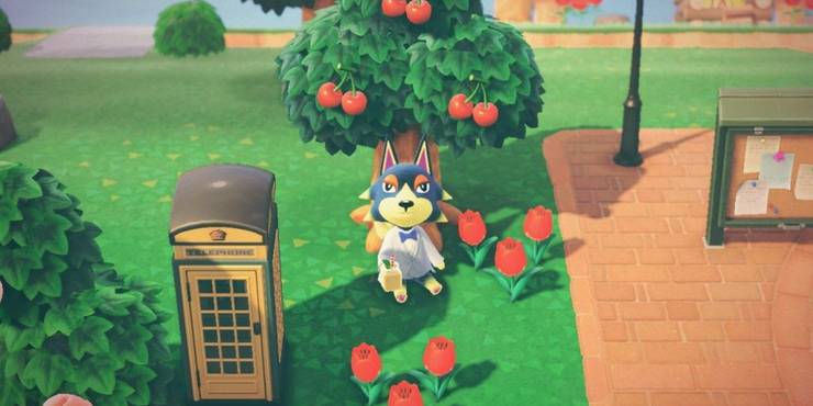 Wolfgang sitting on the ground in Animal Crossing New Horizons