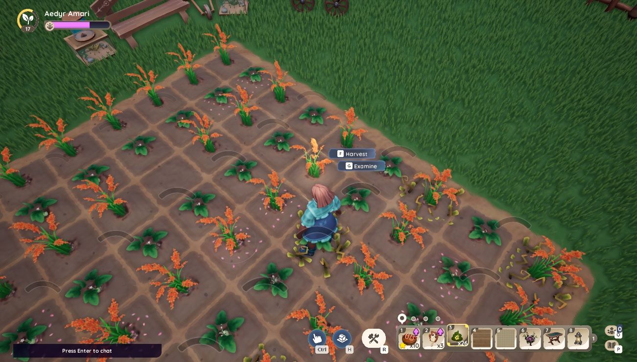 Player character standing in a soil plot and adding HarvestBoost Fertilizer onto Rice and Potato plants in Palia.