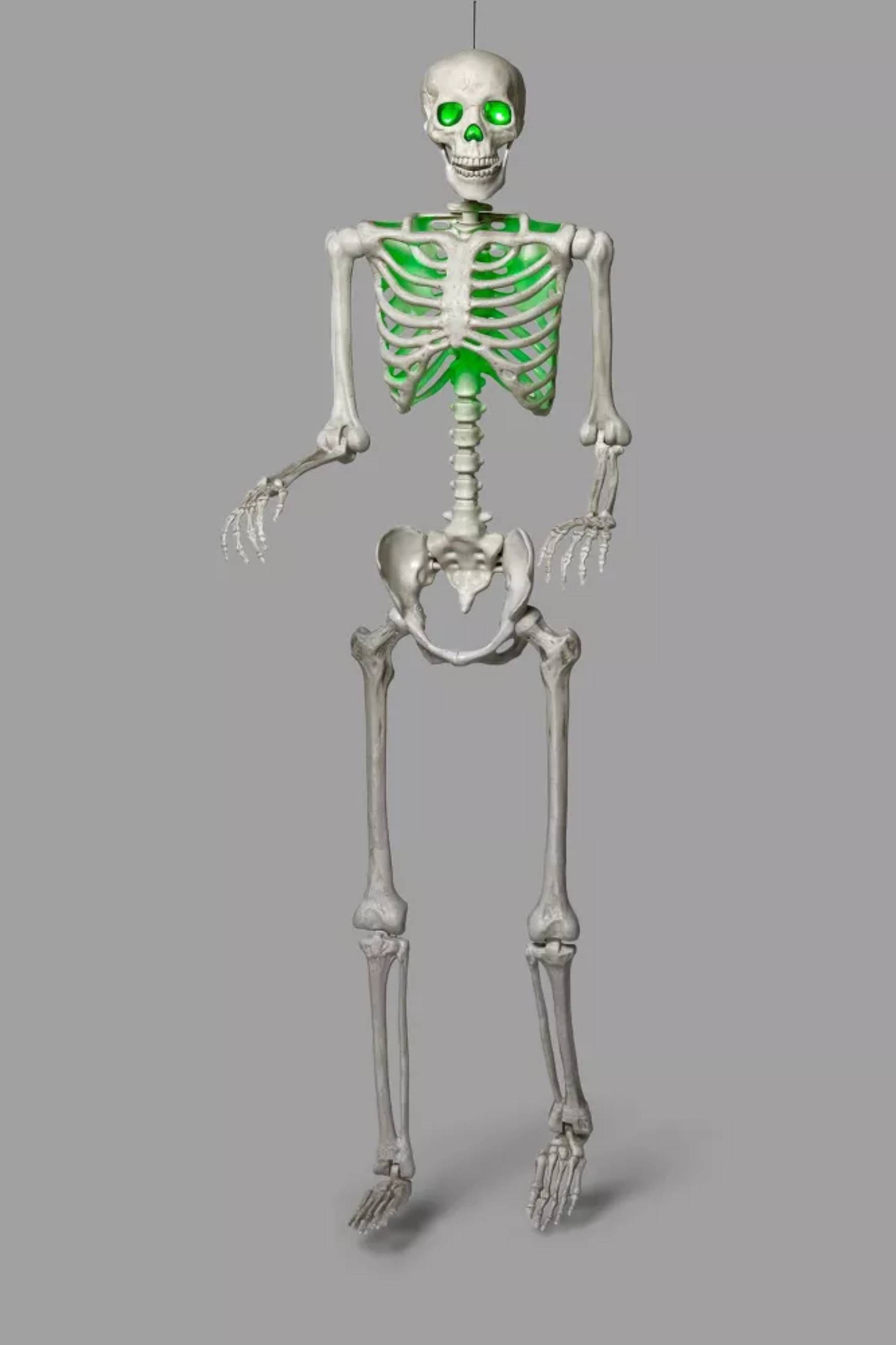 Animated XL Halloween Posable Skeleton