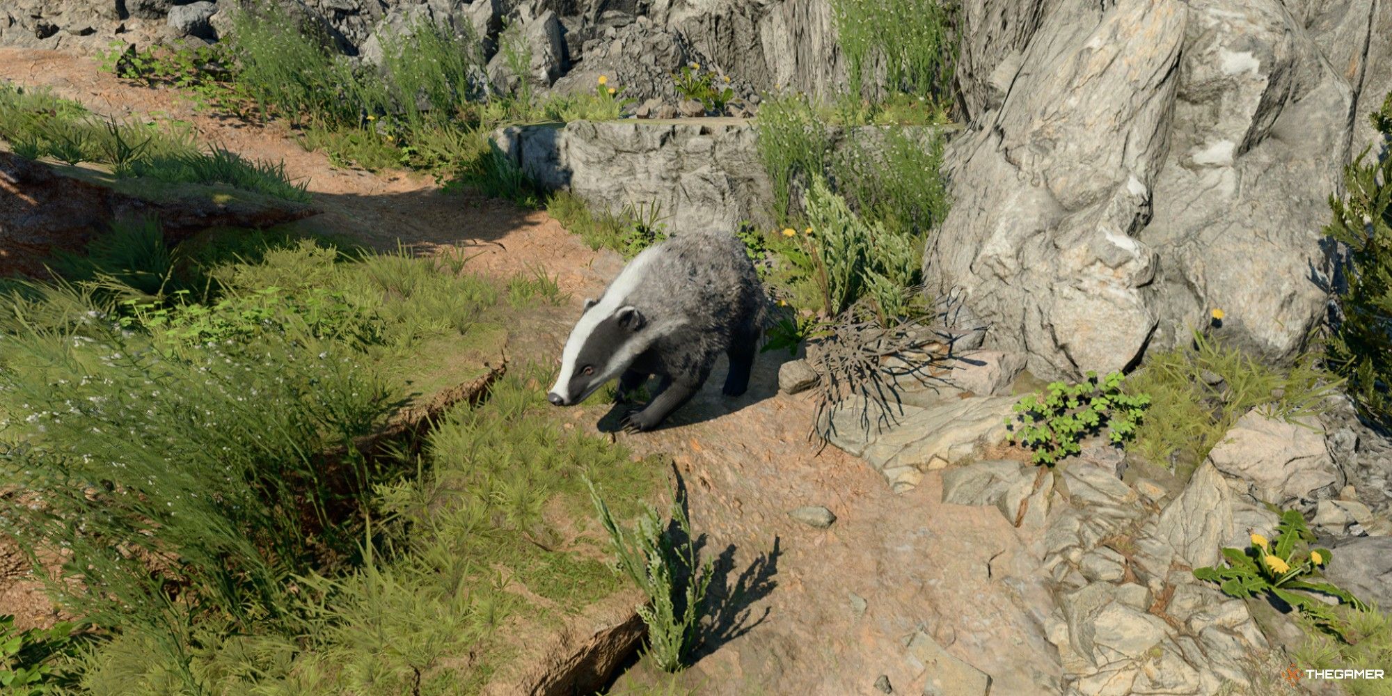 Baldur's Gate 3 Druid Wild Shaped Into Badger