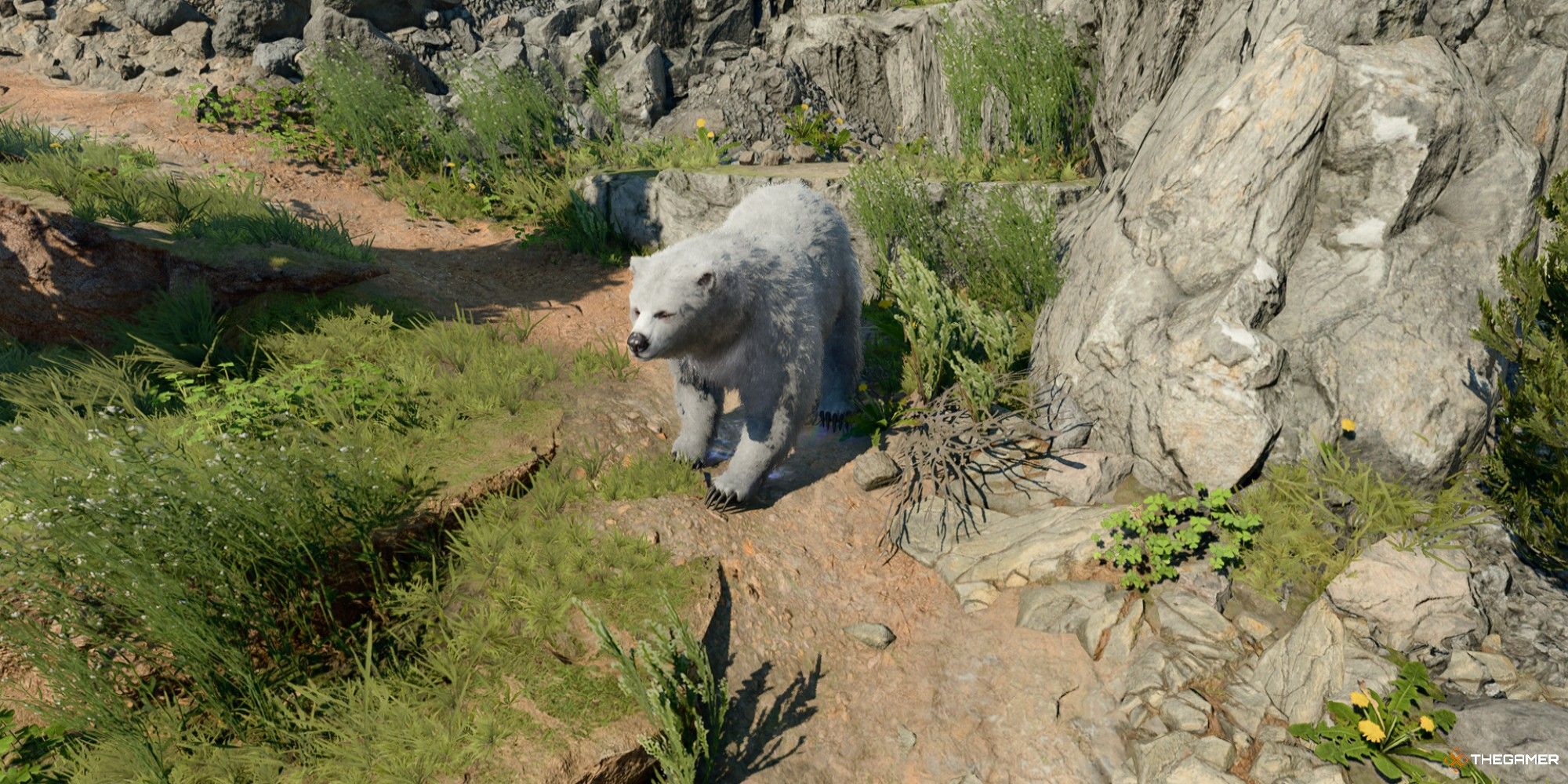 Baldur's Gate 3 Druid Wild Shaped Into Bear