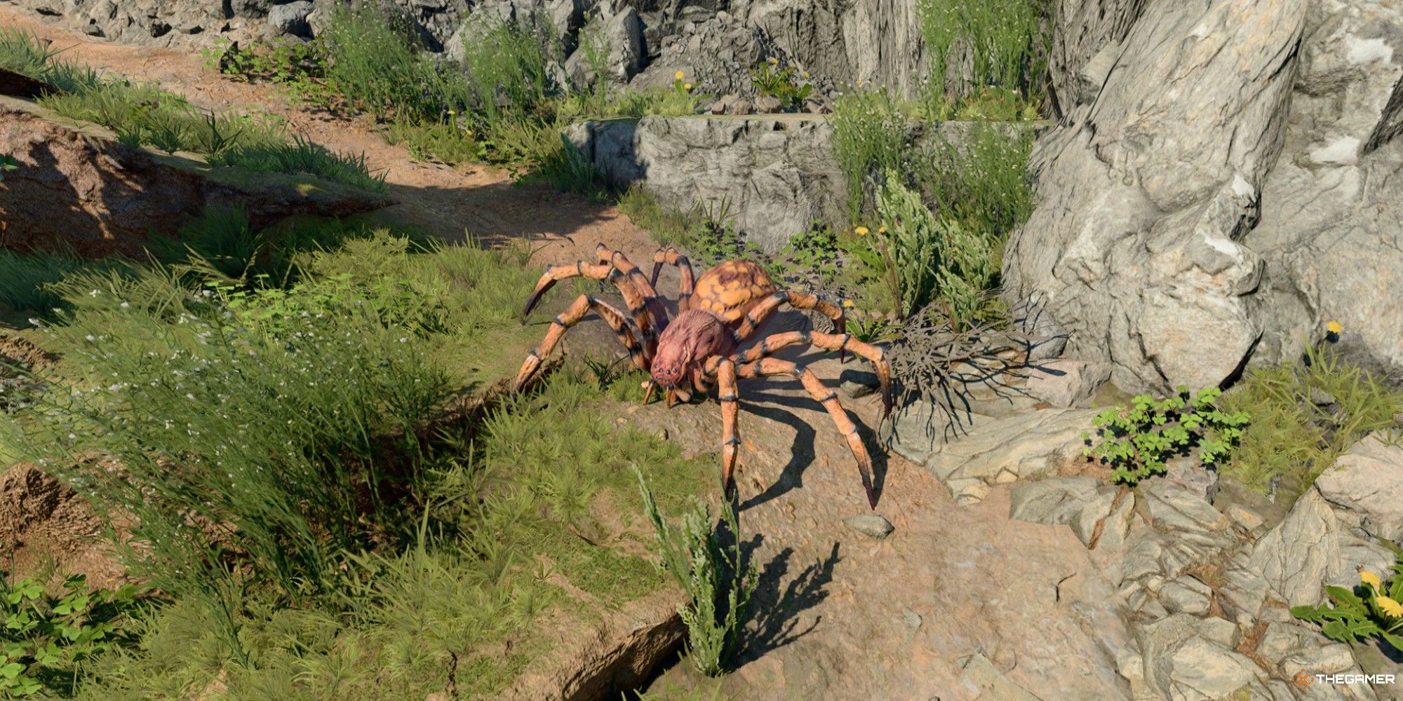 Baldur's Gate 3 Druid Wild Shaped Into Spider