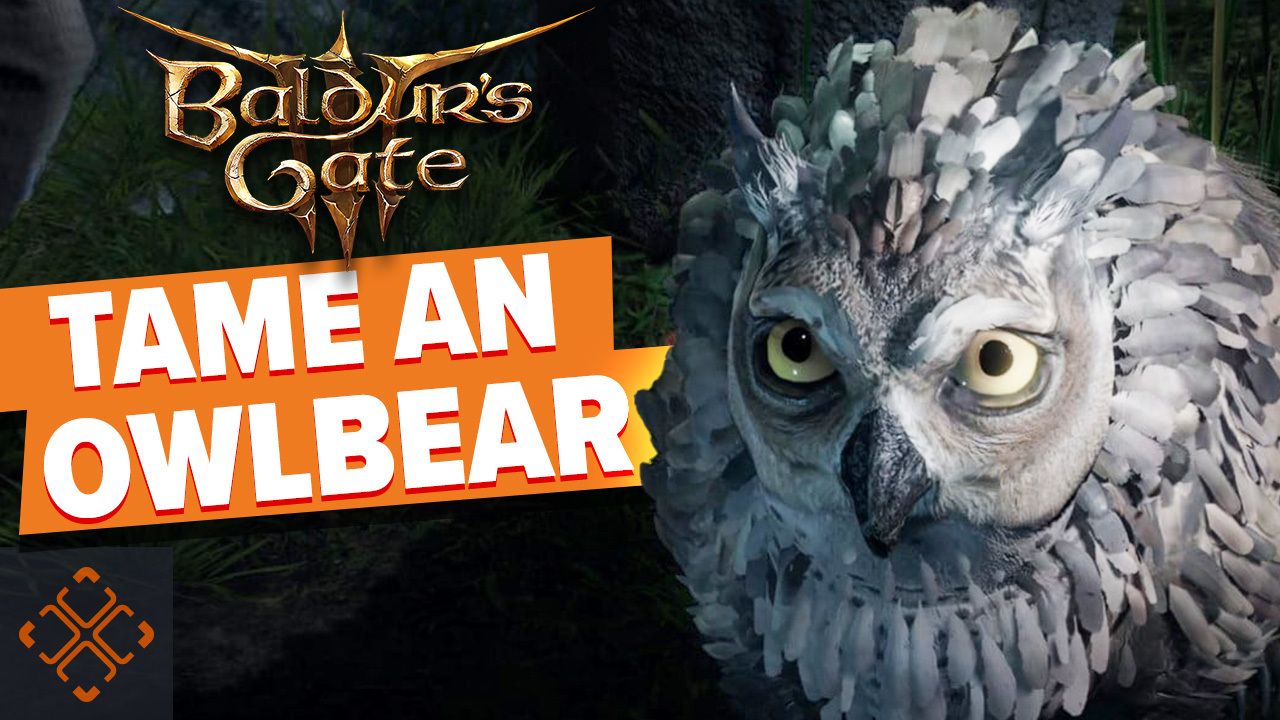Baldur's-Gate-3-How-To-Get-The-Owlbear-Cub