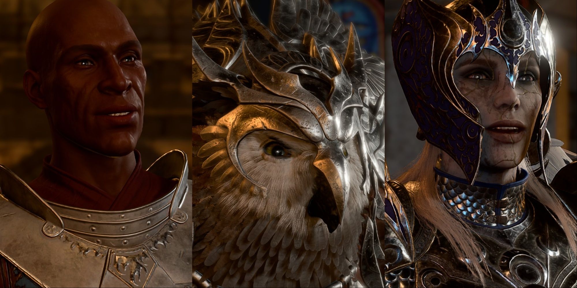 Split Image Of Duke Ravengard, Armored Owlbear Cub, And Dame Aylin Before Final Battle In Baldur's Gate 3