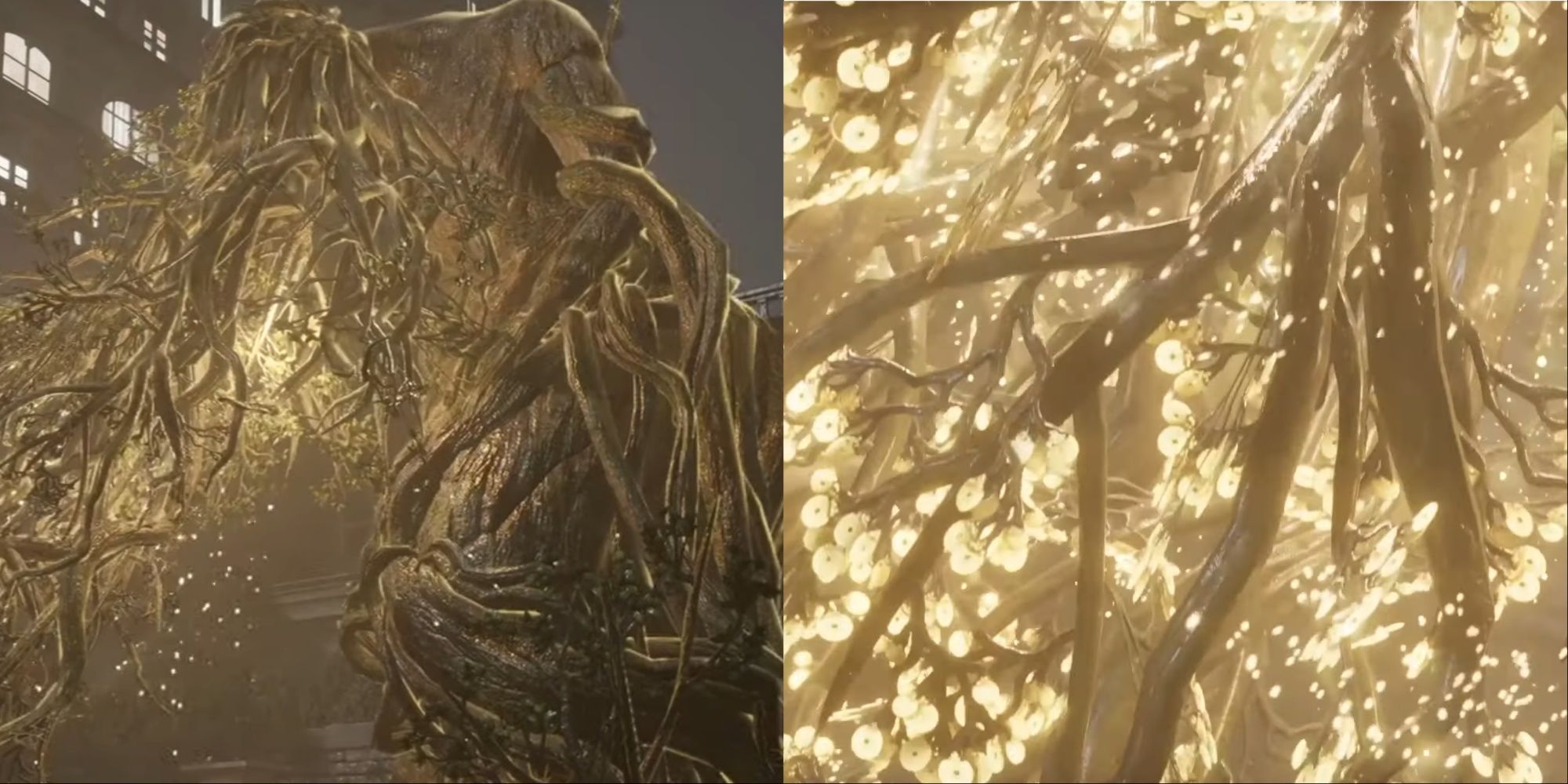 Split-Image of the Gold Coin Tree, one in its full view and another a close-up of the shimmering lit up branches.