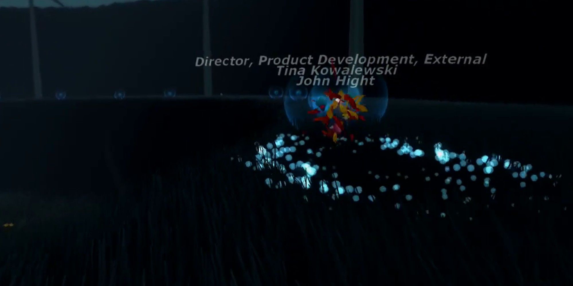 Blue lights form the name of developers in Flower credits.