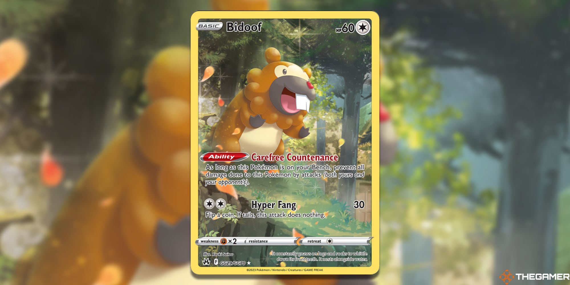 Pokemon TCG Bidoof Card