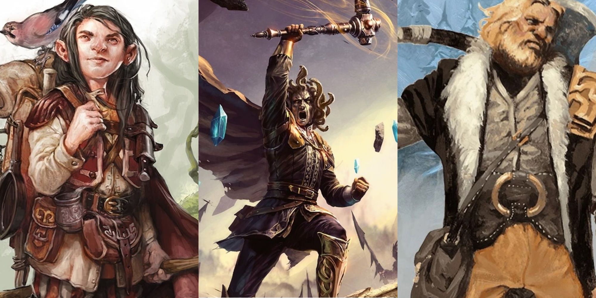 Split images of Druid, Paladin, and human Barbarian in official Dungeons and Dragons art.