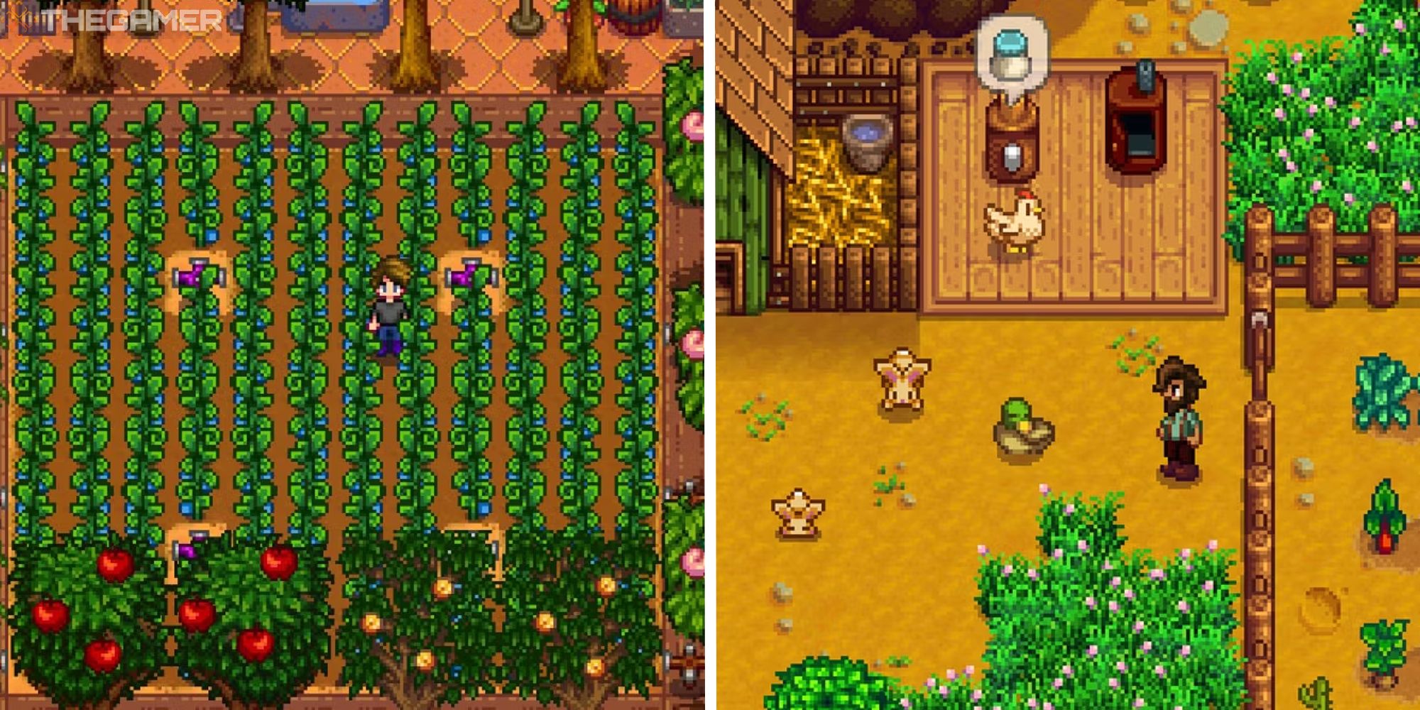 stardew valley split image showing player in greenhouse next to image of player outside coop with duck nearby