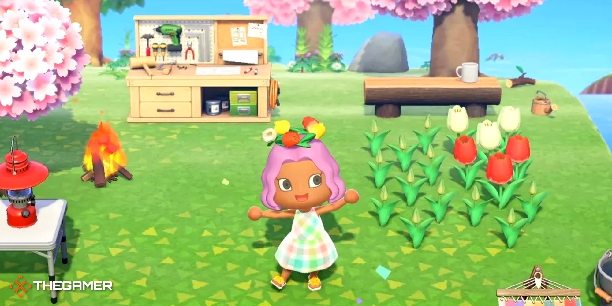 10-Animal Crossing A Guide To Starting Your Island Fresh Without Resetting