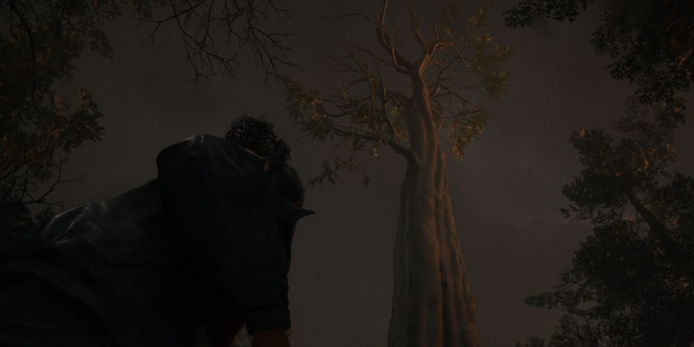 an extreme low-angle shot of Saga Anderson approaching the Witch's Ladle, an enormous tree, in Alan Wake 2