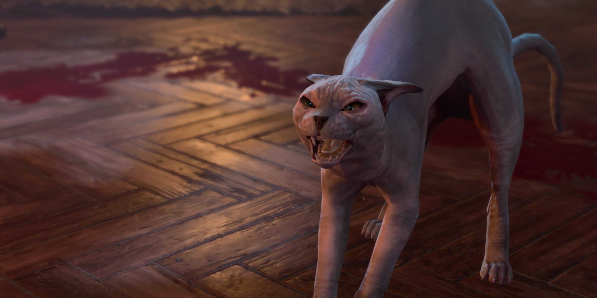 A hairless cat in Baldur's Gate 3. He is called 