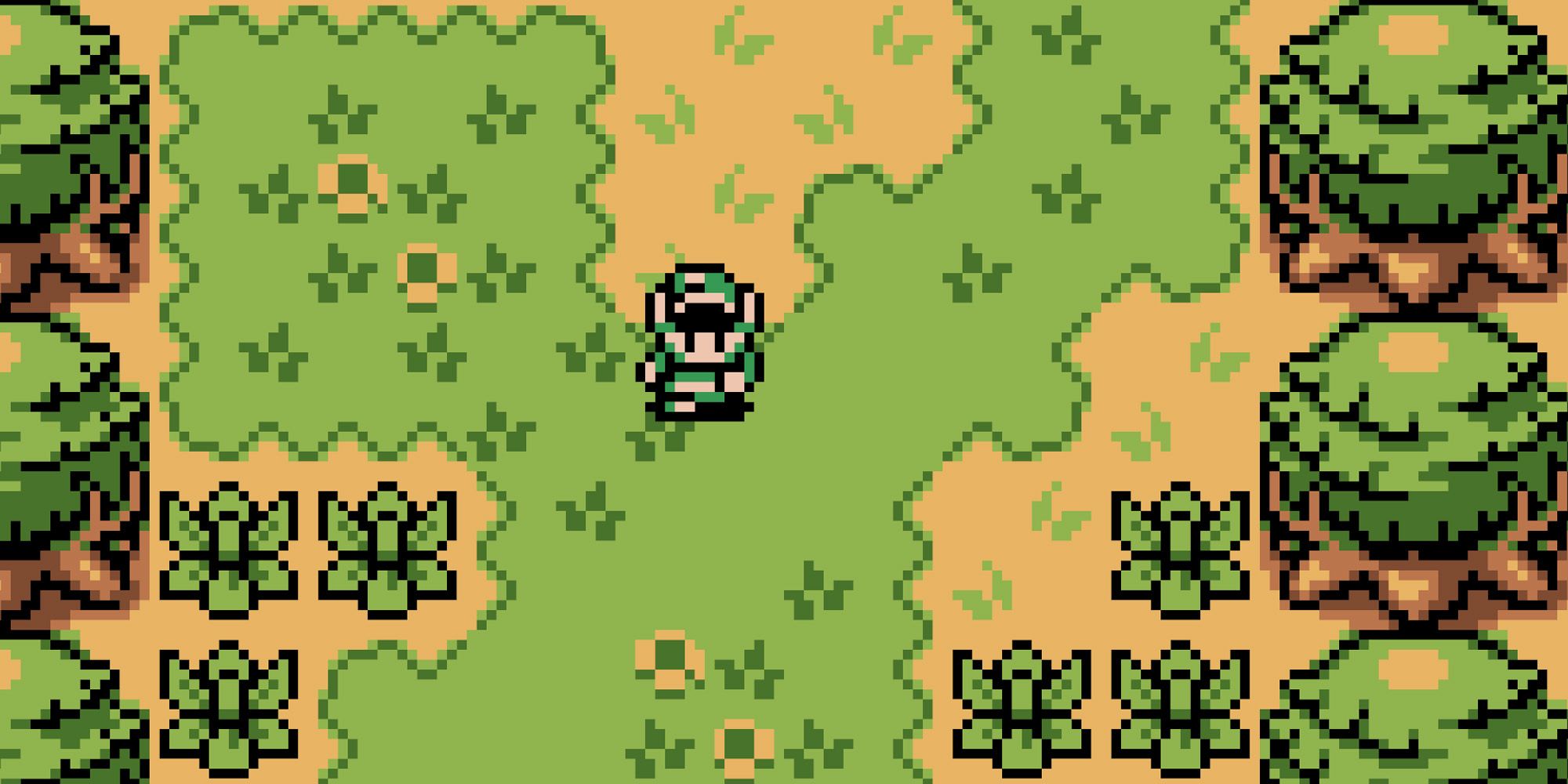 The Legend Of Zelda Oracle Of Ages, Oracle Of Seasons - Link Standing In A Grassy Field