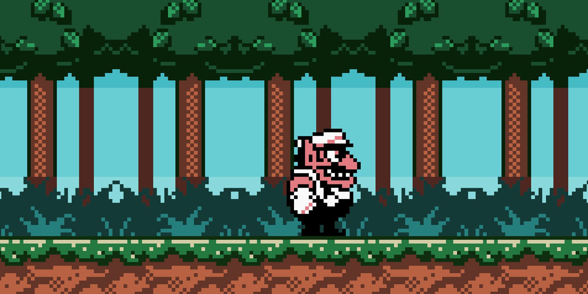 Wario Land 3 - Wario Standing In A Forest